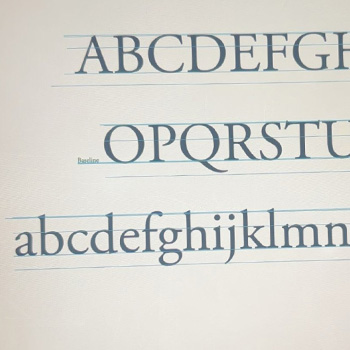 Typography